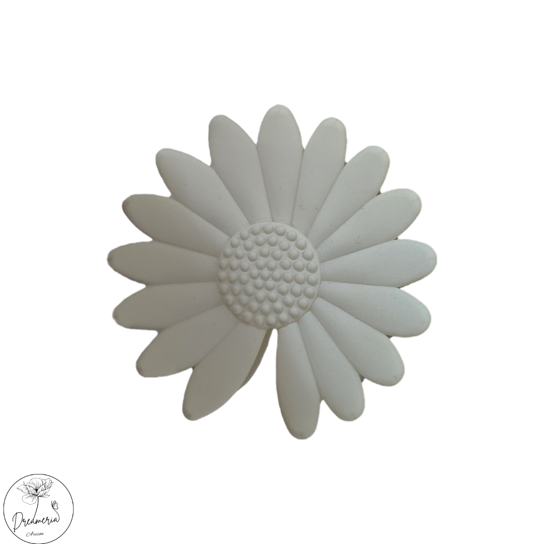 رنگبندی بابونه ۱