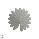 رنگبندی بابونه ۱